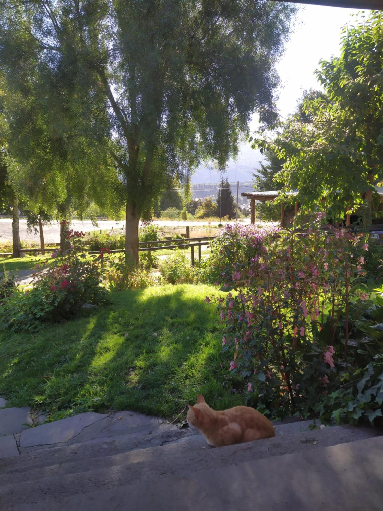 Hosteria Villa Turismo El Bolsón Kültér fotó